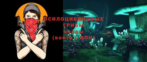 mdma Снежногорск