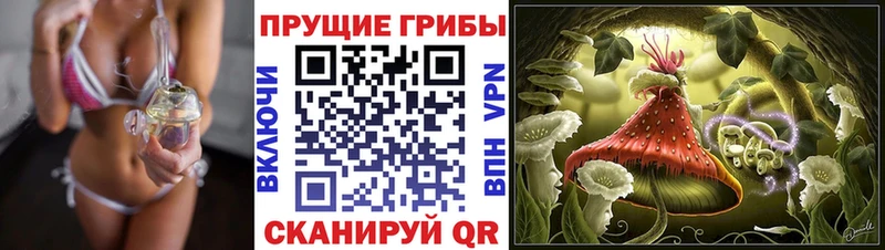 Купить где  Осинники  Псилоцибиновые грибы GOLDEN TEACHER 