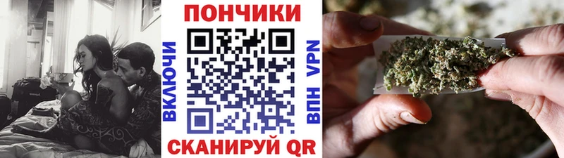 Бошки Шишки ГИДРОПОН Осинники